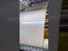 कलई करना